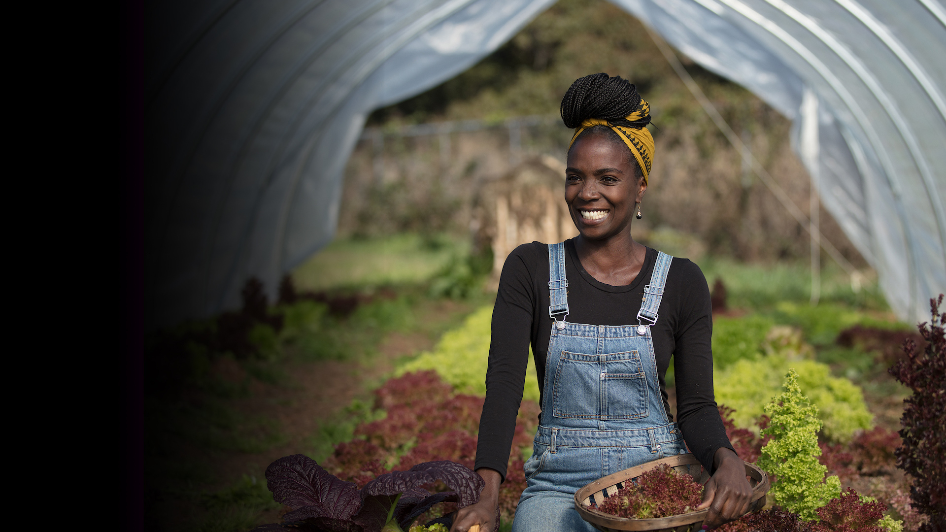 HGTV Homegrown S1 Oct 25 3840X2160 Key Art No Logo